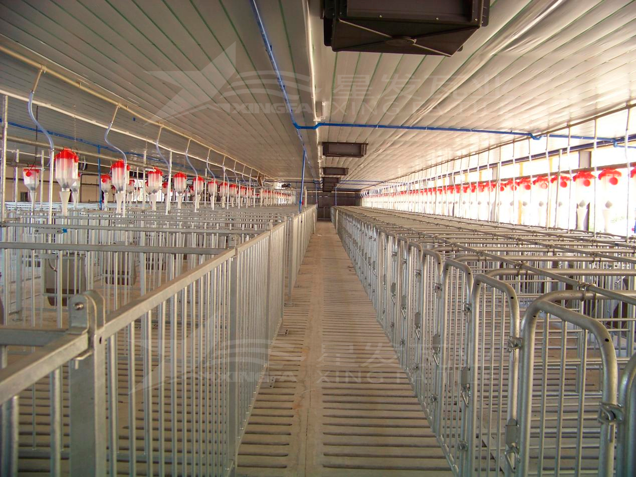 高溫來襲，養殖場安裝樹脂瓦，為小動物營造避暑勝地